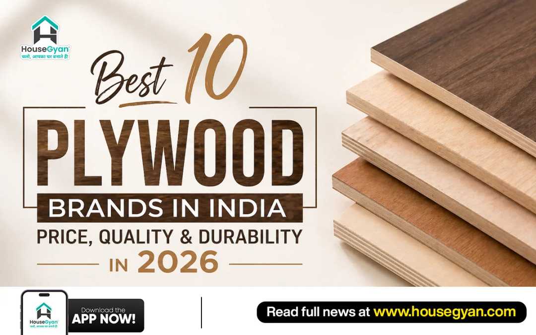top plywood companies india