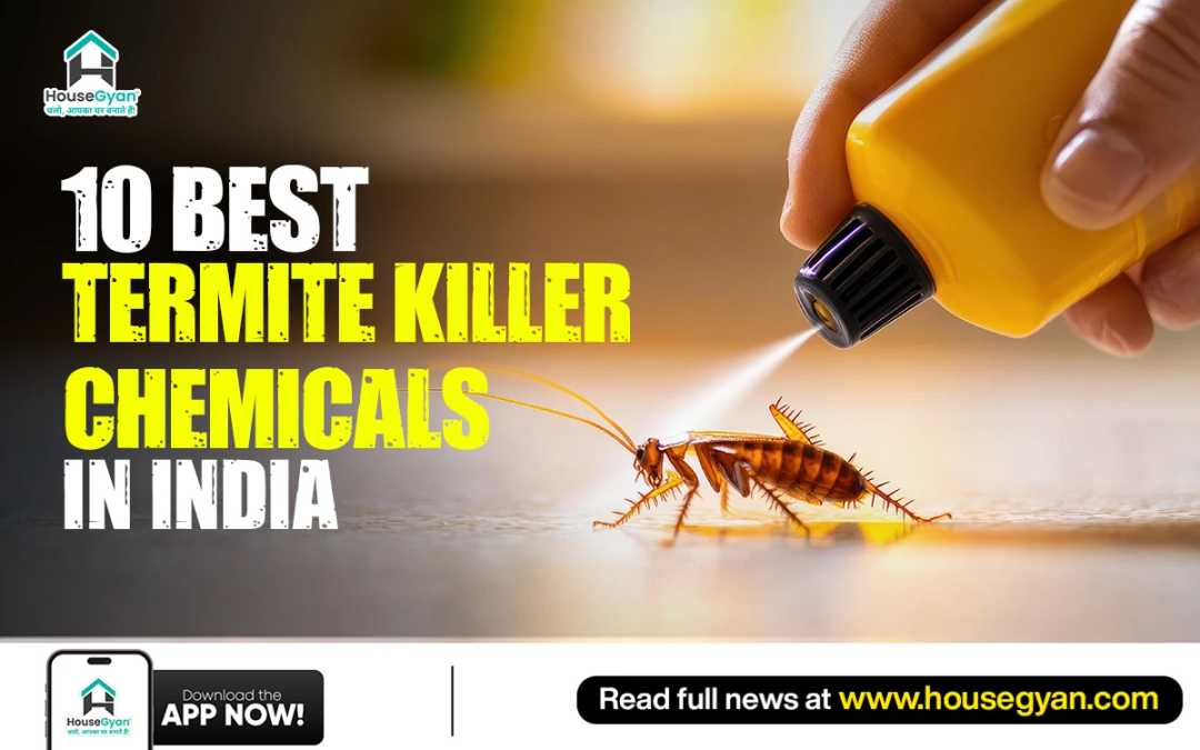 termite killer chemicals