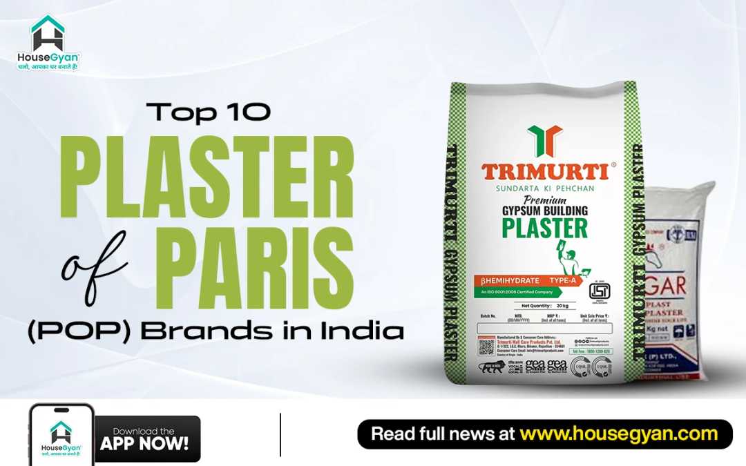best plaster of paris brands