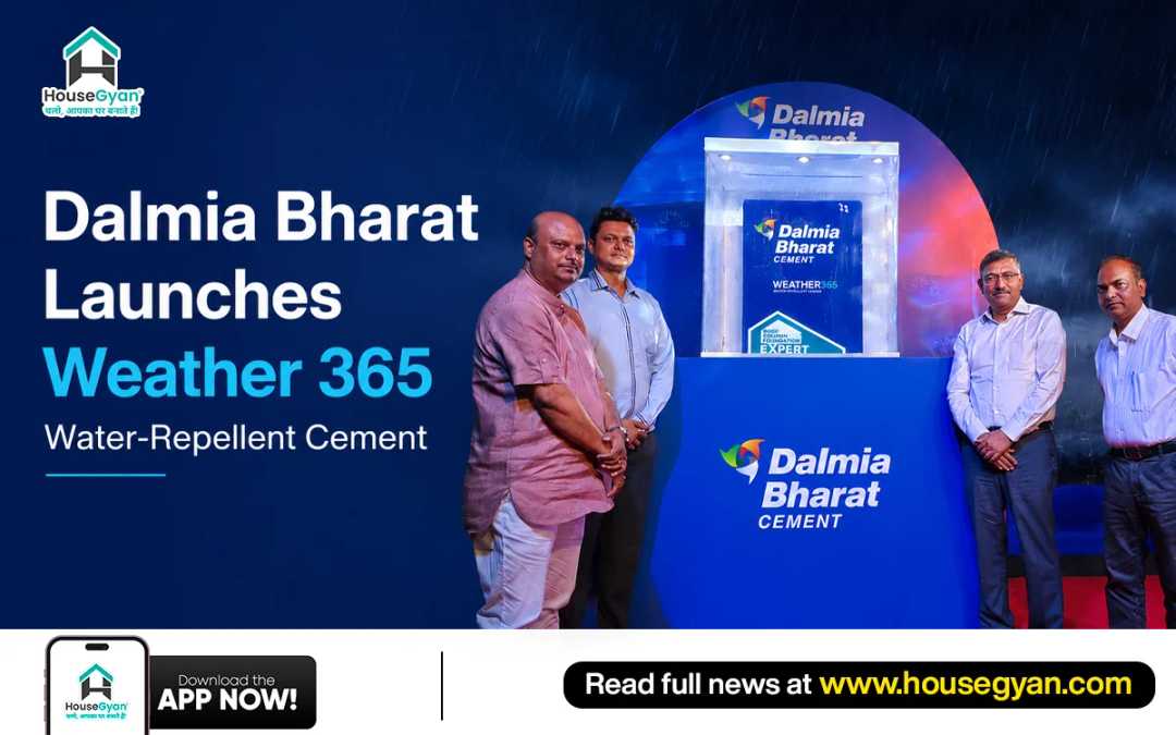 cement industry news