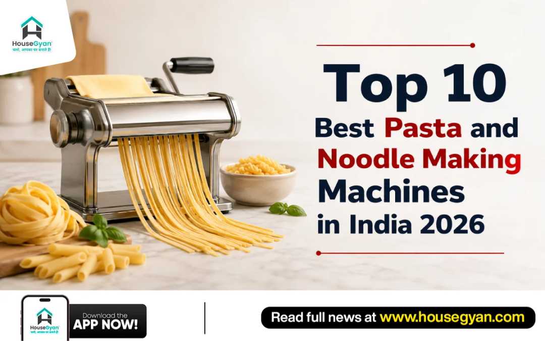 best noodle making machine in India