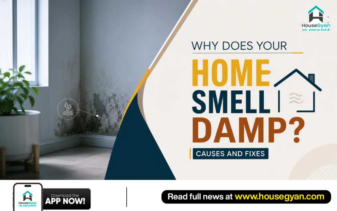 damp smell in home