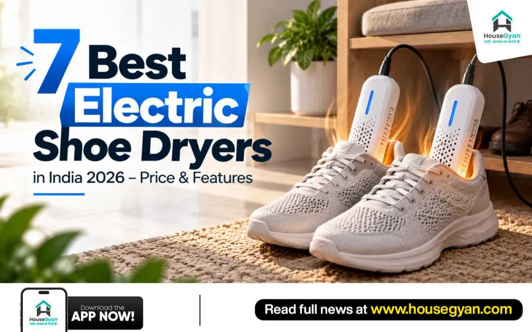 best electric shoe dryers
