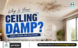 how to fix damp ceiling