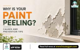 paint peeling causes