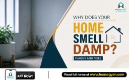 damp smell in home
