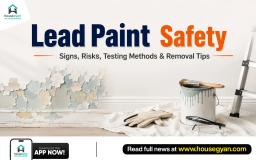 lead paint safety guide