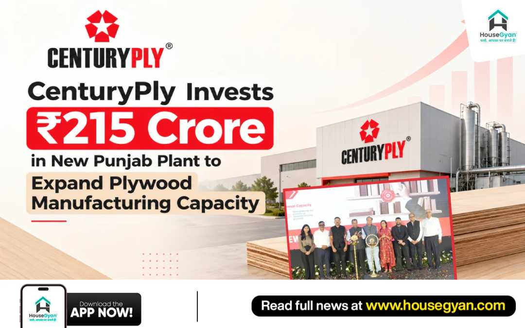 plywood industry news plywood industry news